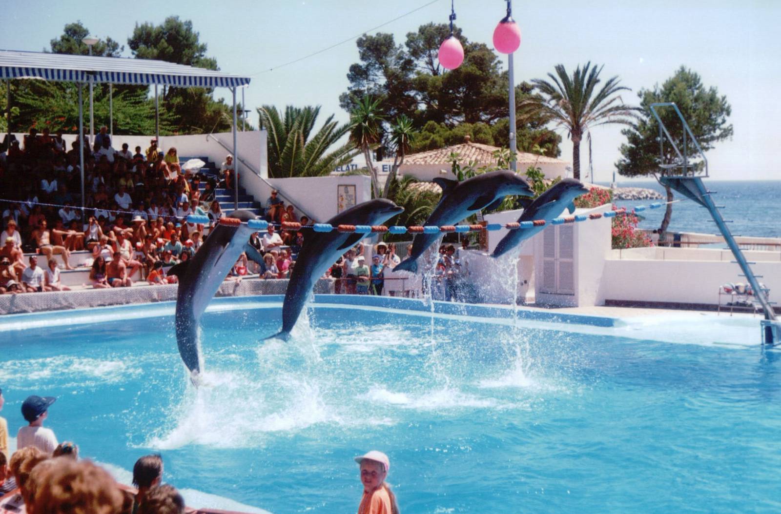 Marineland Mallorca 1993 - Dolphin Show