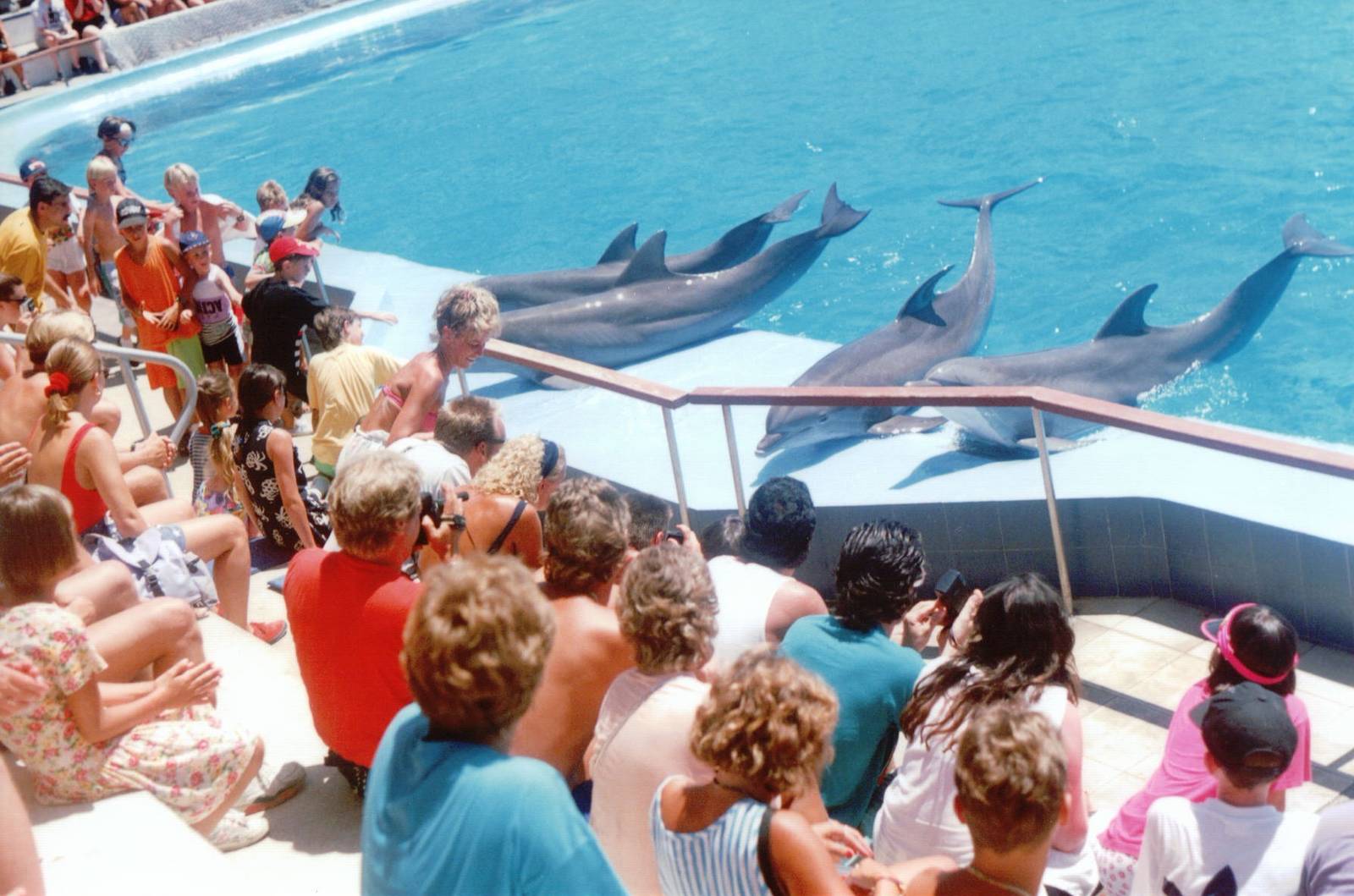 Marineland Mallorca 1993 - Dolphin Show