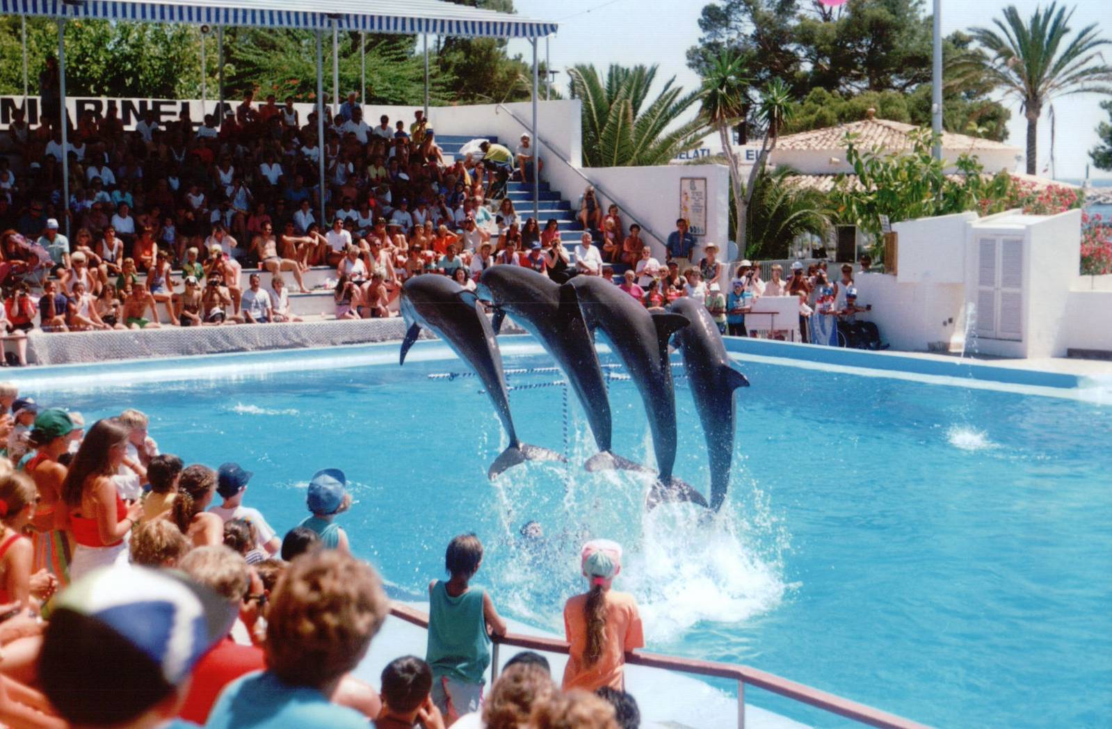 Marineland Mallorca 1993 - Dolphin Show