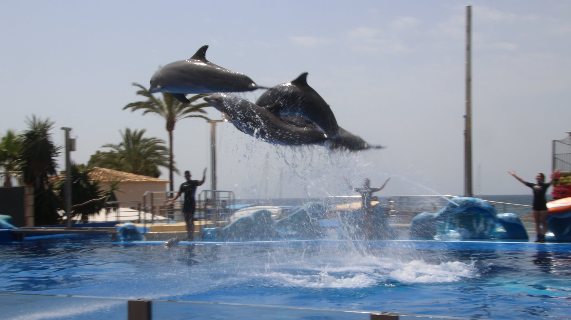 Marineland Mallorca 2018 - Dolphin Show