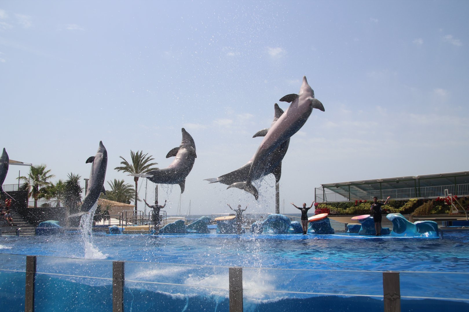 Marineland Mallorca 2018 - Dolphin Show