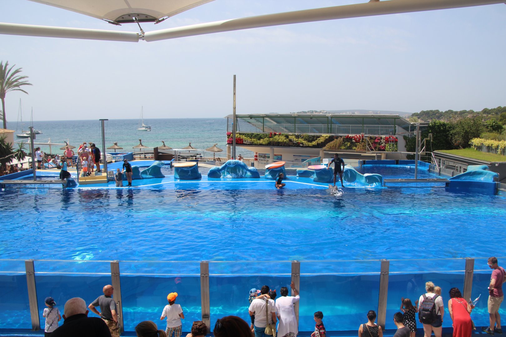 Marineland Mallorca 2018 - Dolphin Stadium
