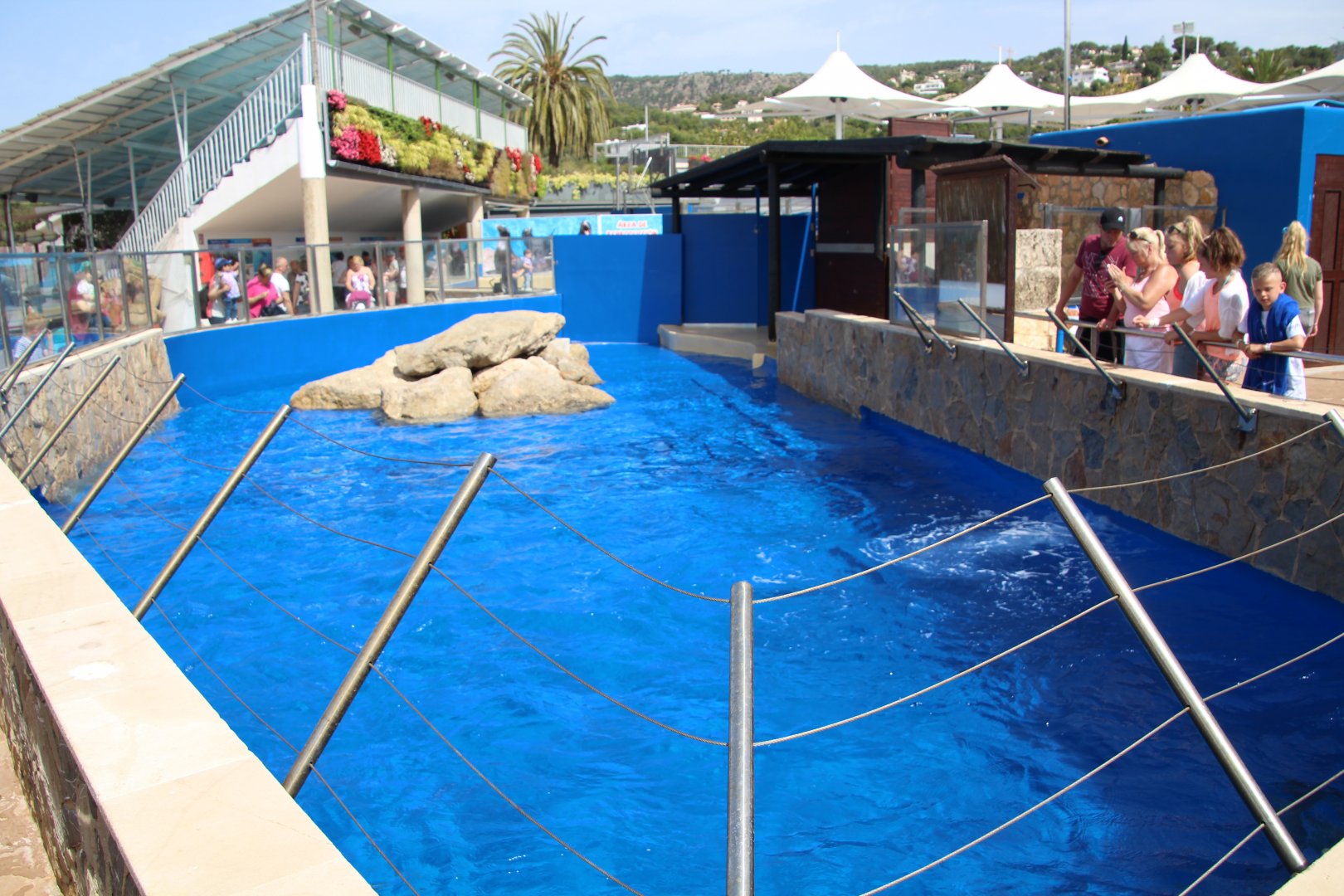 Marineland Mallorca 2018 - sea lion enclosure