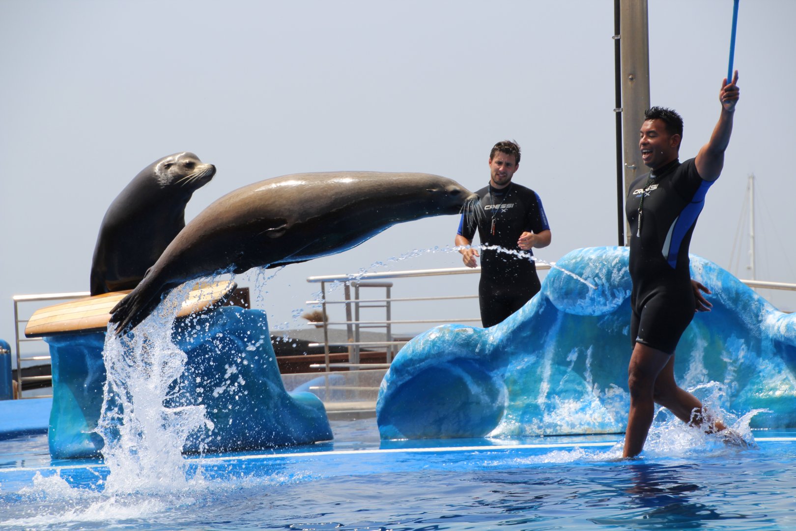 Marineland Mallorca 2018 - Sea lion show