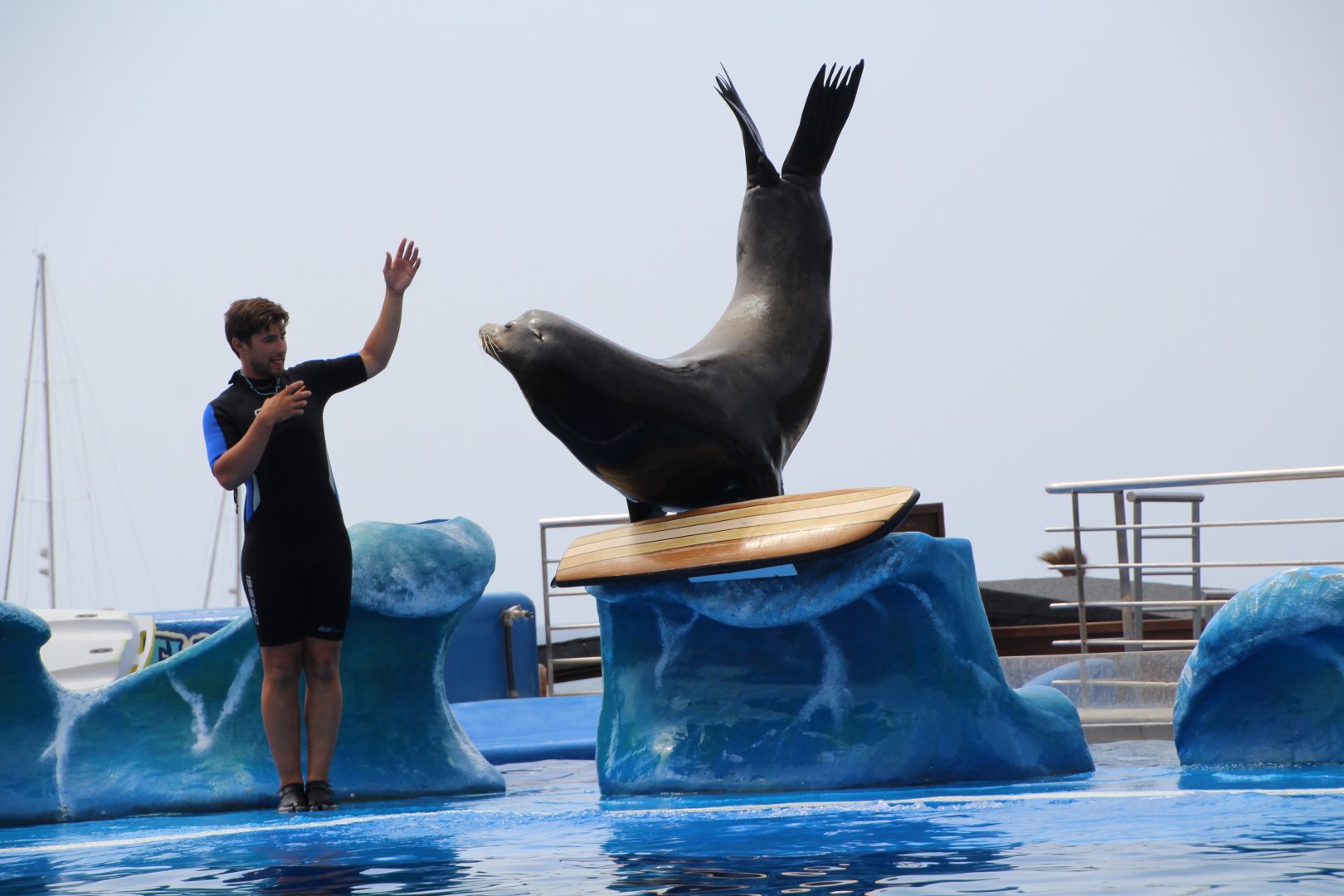 Marineland Mallorca 2018 - Sea lion show