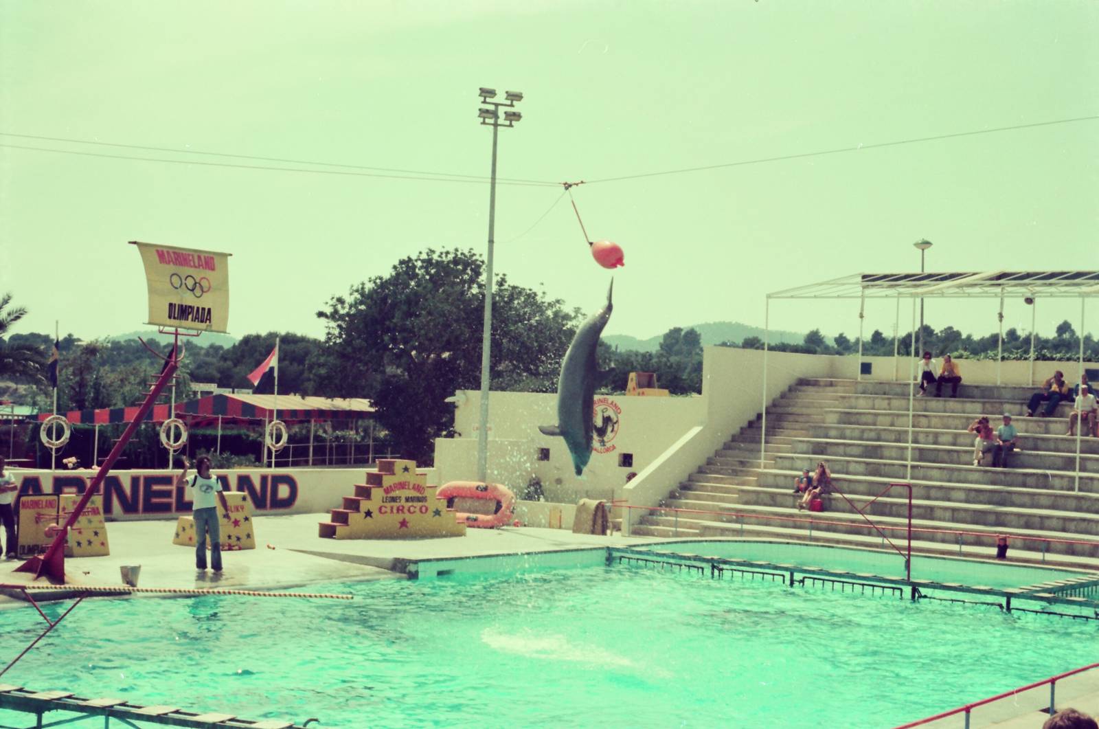Marineland Mallorca Circa 1975 - Dolphin Show