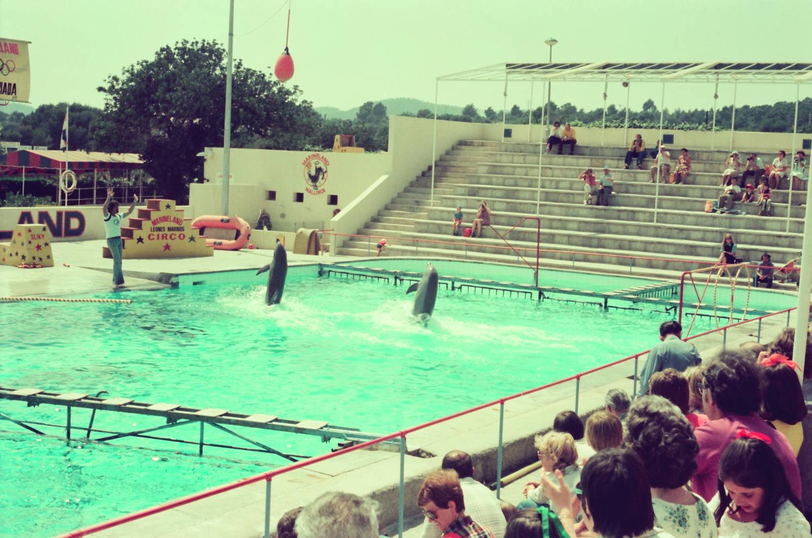 Marineland Mallorca Circa 1975 - Dolphin Show
