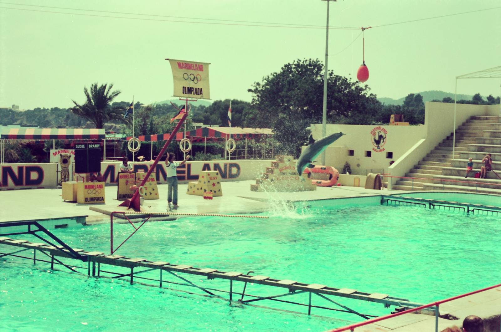 Marineland Mallorca Circa 1975 - Dolphin Show