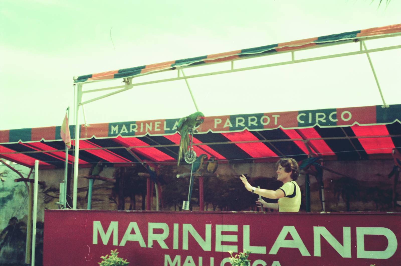 Marineland Mallorca Circa 1975 - Parrot Show