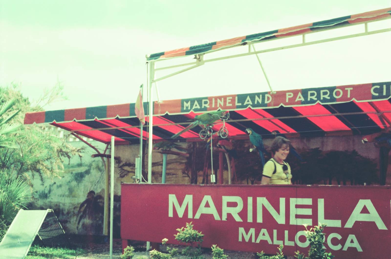 Marineland Mallorca Circa 1975 - Parrot Show