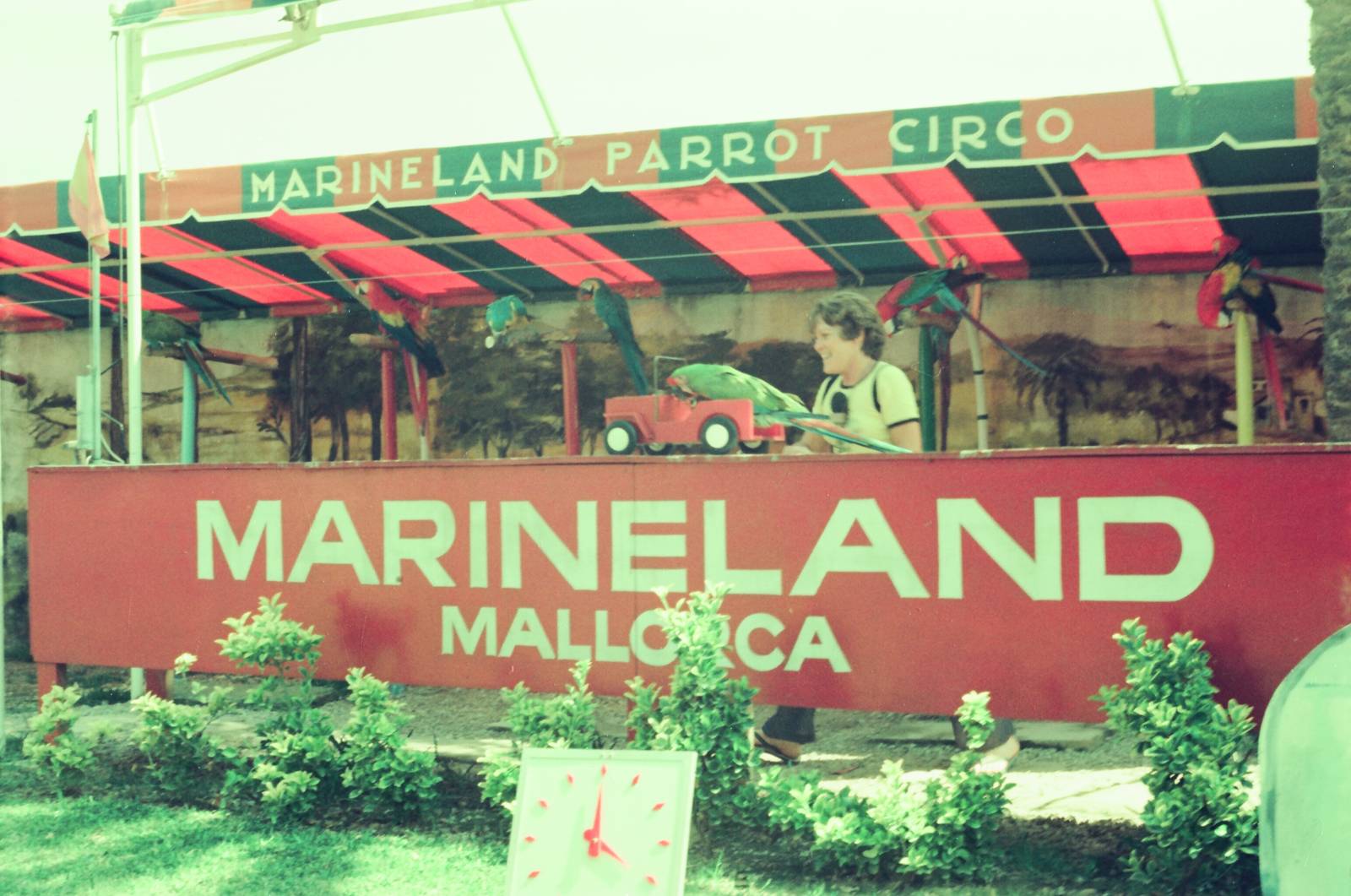 Marineland Mallorca Circa 1975 - Parrot Show