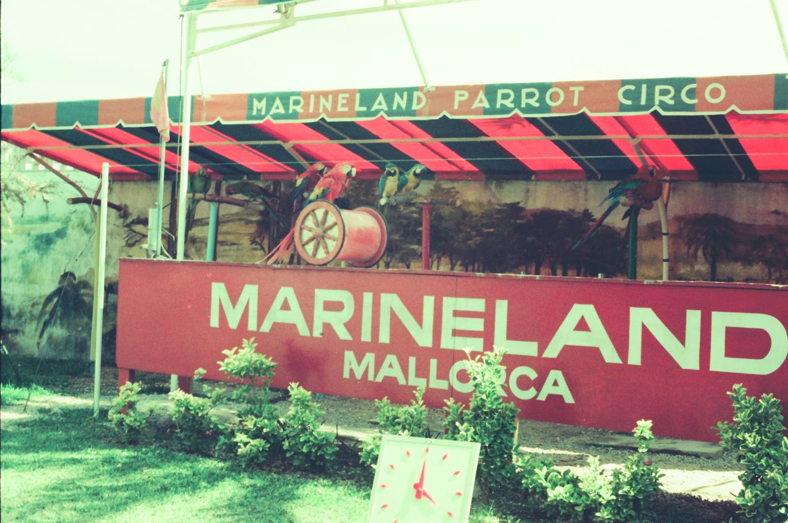 Marineland Mallorca Circa 1975 - Parrot Show