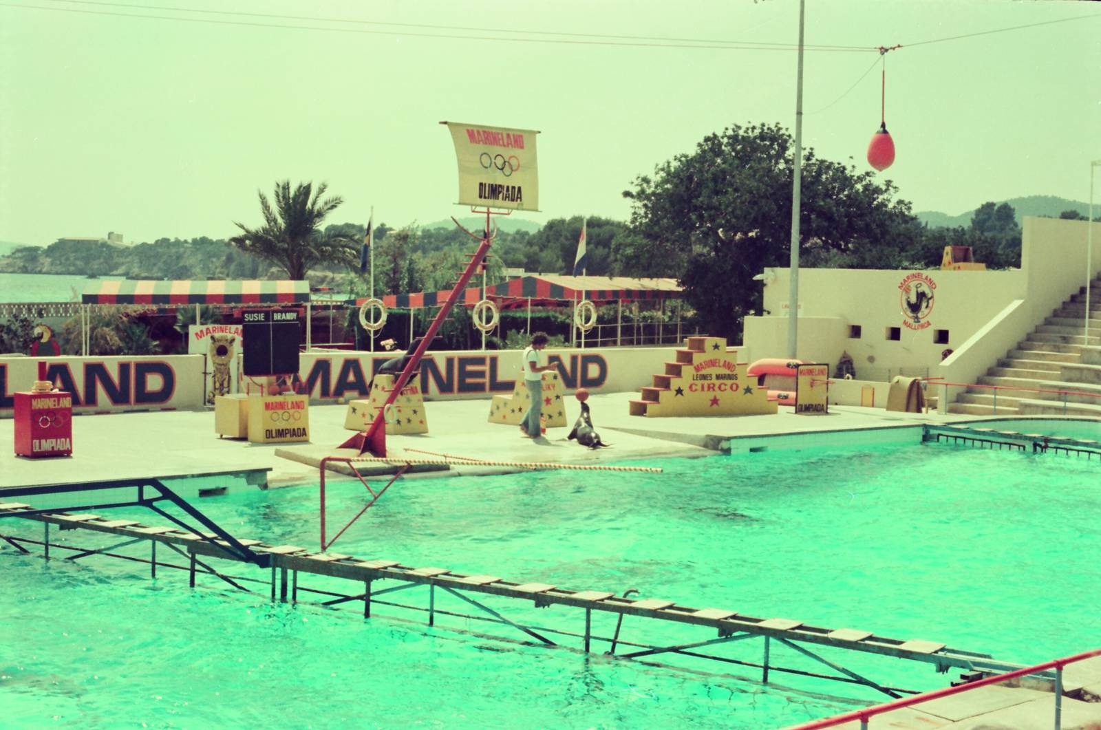 Marineland Mallorca Circa 1975 - Sea Lion Show
