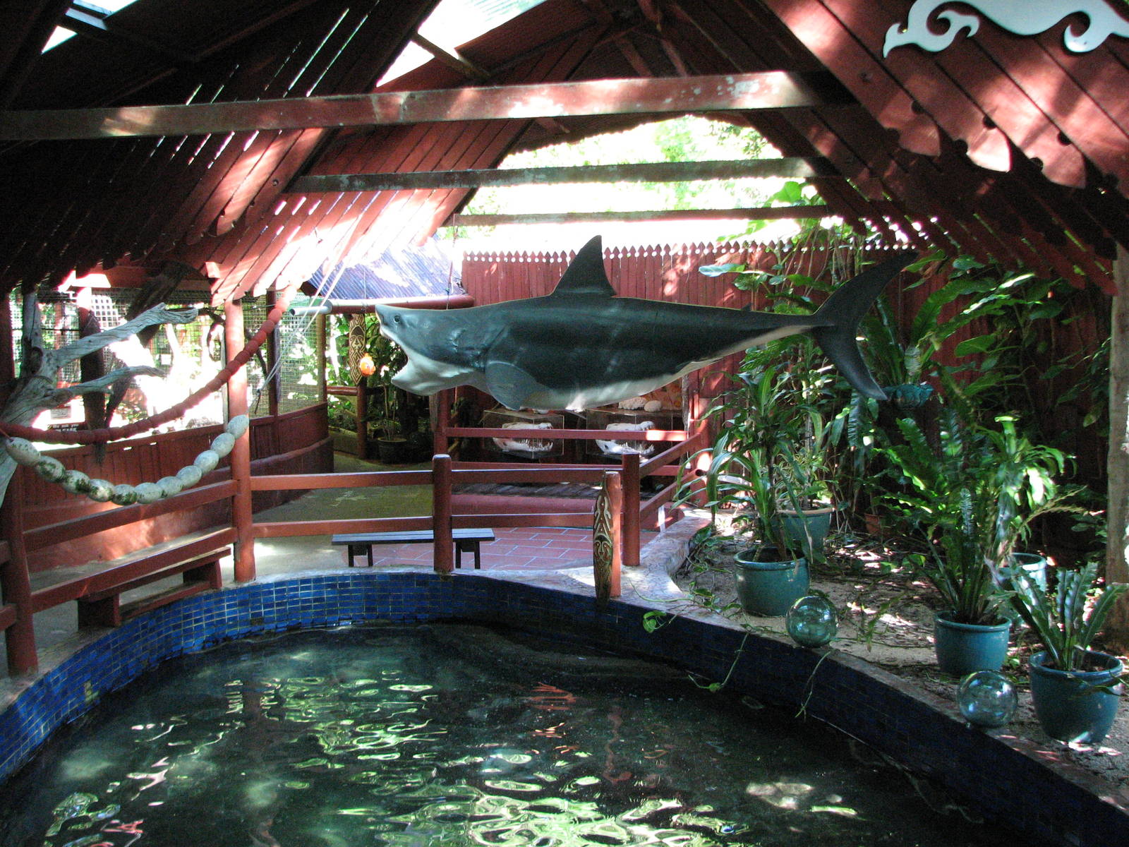 Marineland Melanesia 2007 - Mixed concrete turtle pool