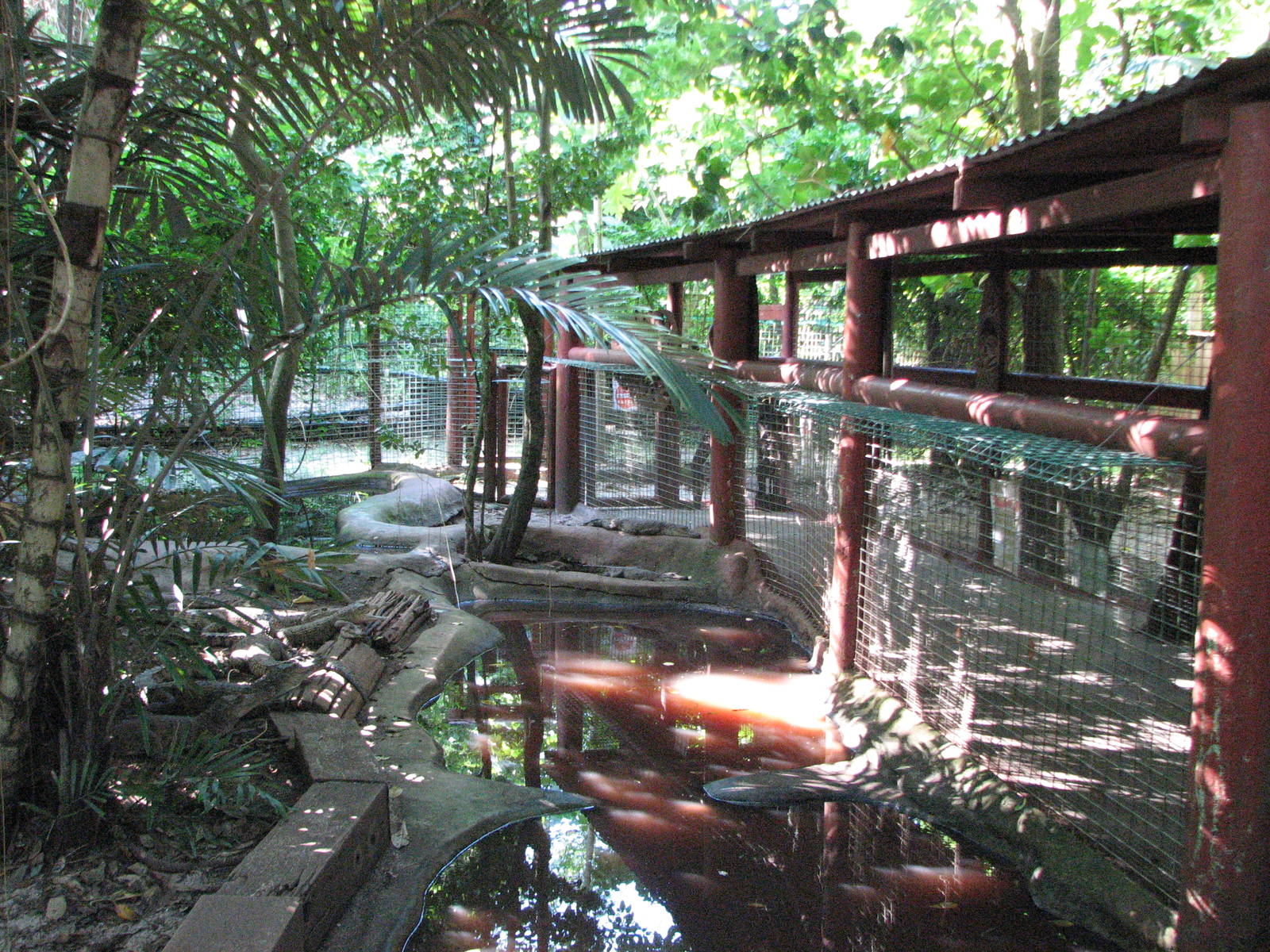 Marineland Melanesia 2007 - Part of a typical crocodile enclosure