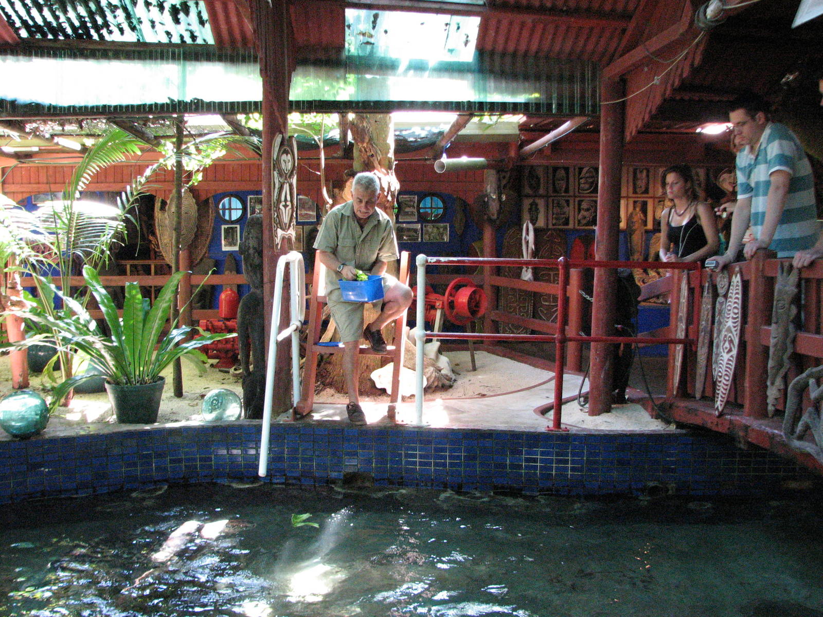 Marineland Melanesia 2007 - Sea turtle feeding