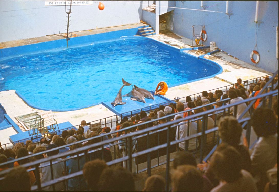 Marineland - Morecambe