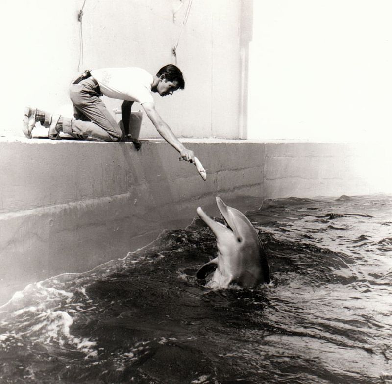 Marineland - Morecambe