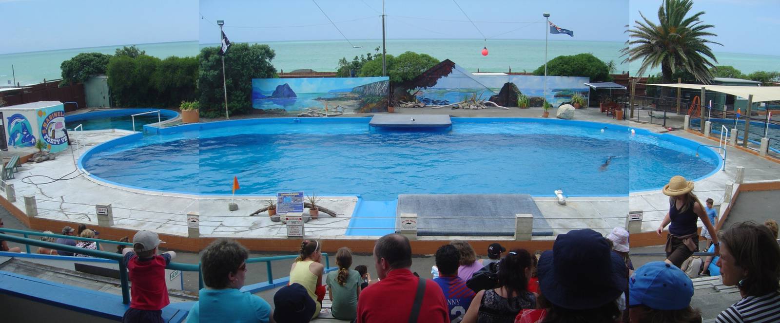 Marineland, Napier, New Zealand