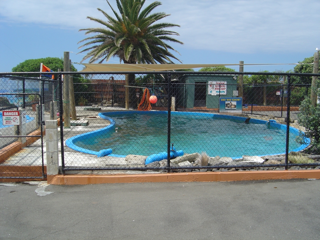 Marineland, Napier, New Zealand