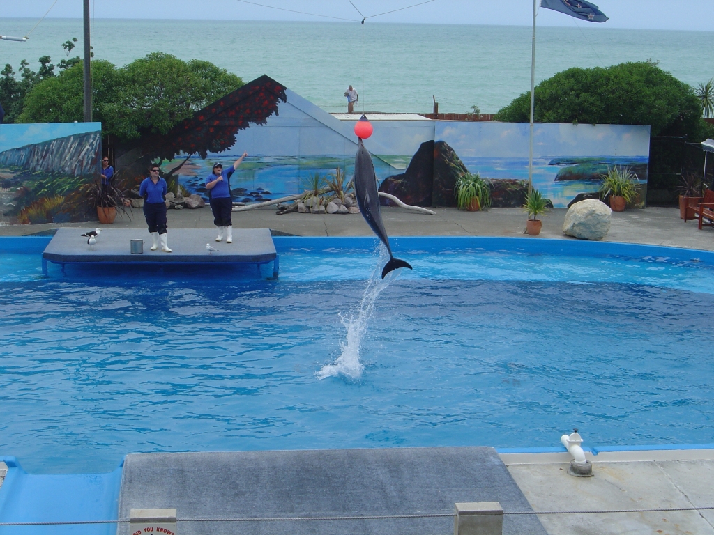 Marineland, Napier, New Zealand