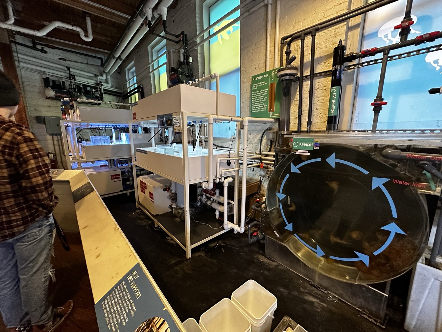 Maritime Aquarium Jellyfish Nursery