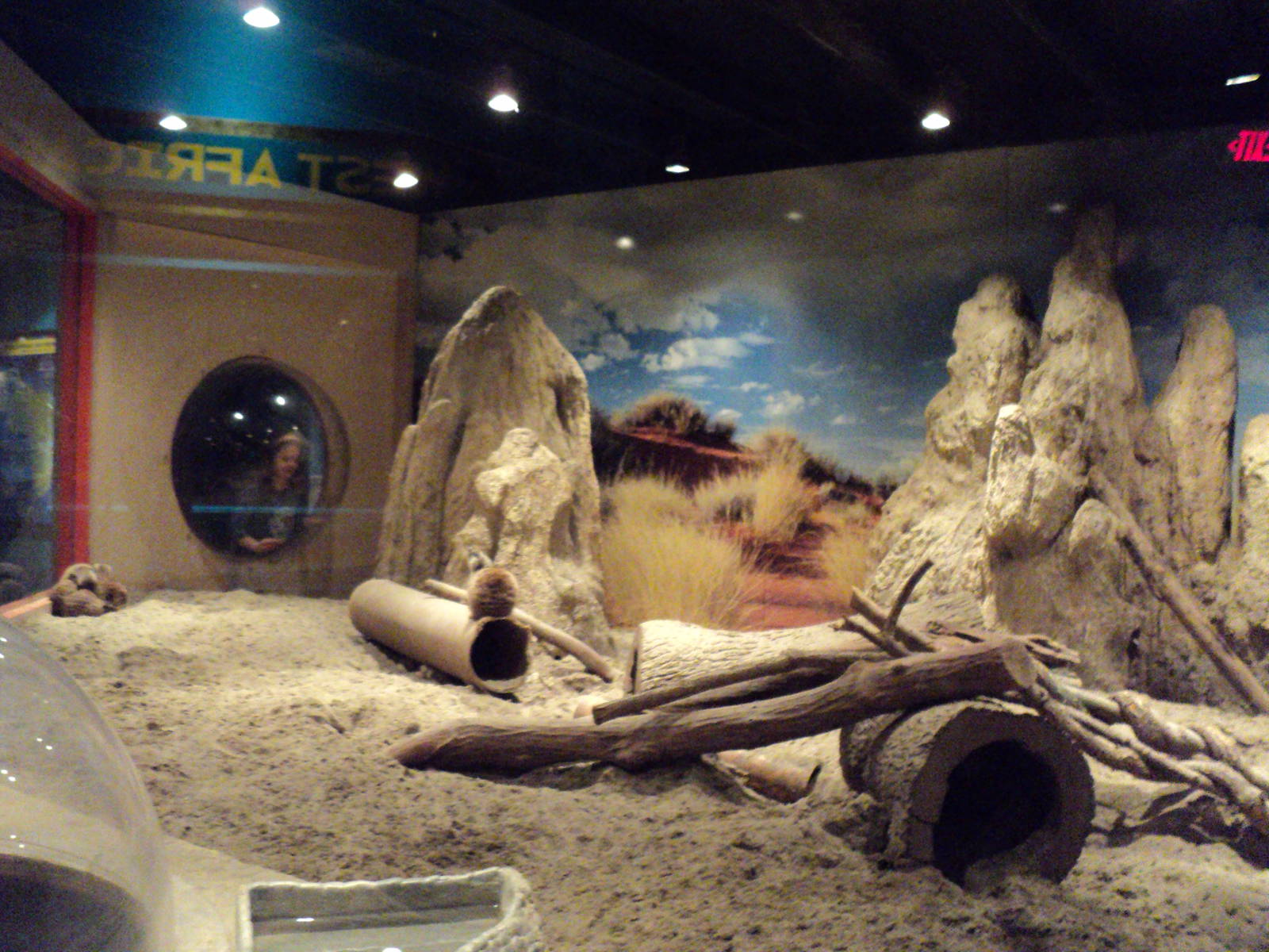 Maritime Aquarium- Meerkat Exhibit View 1