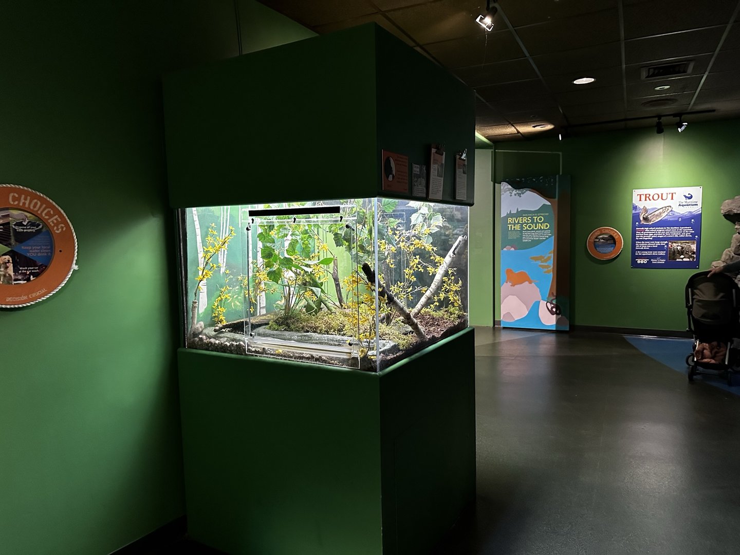 Maritime Aquarium Native Herp Exhibit