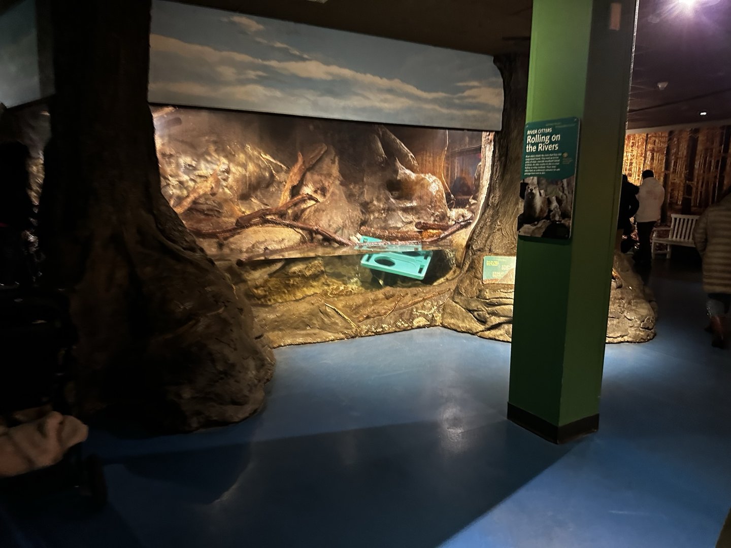 Maritime Aquarium Otter Habitat