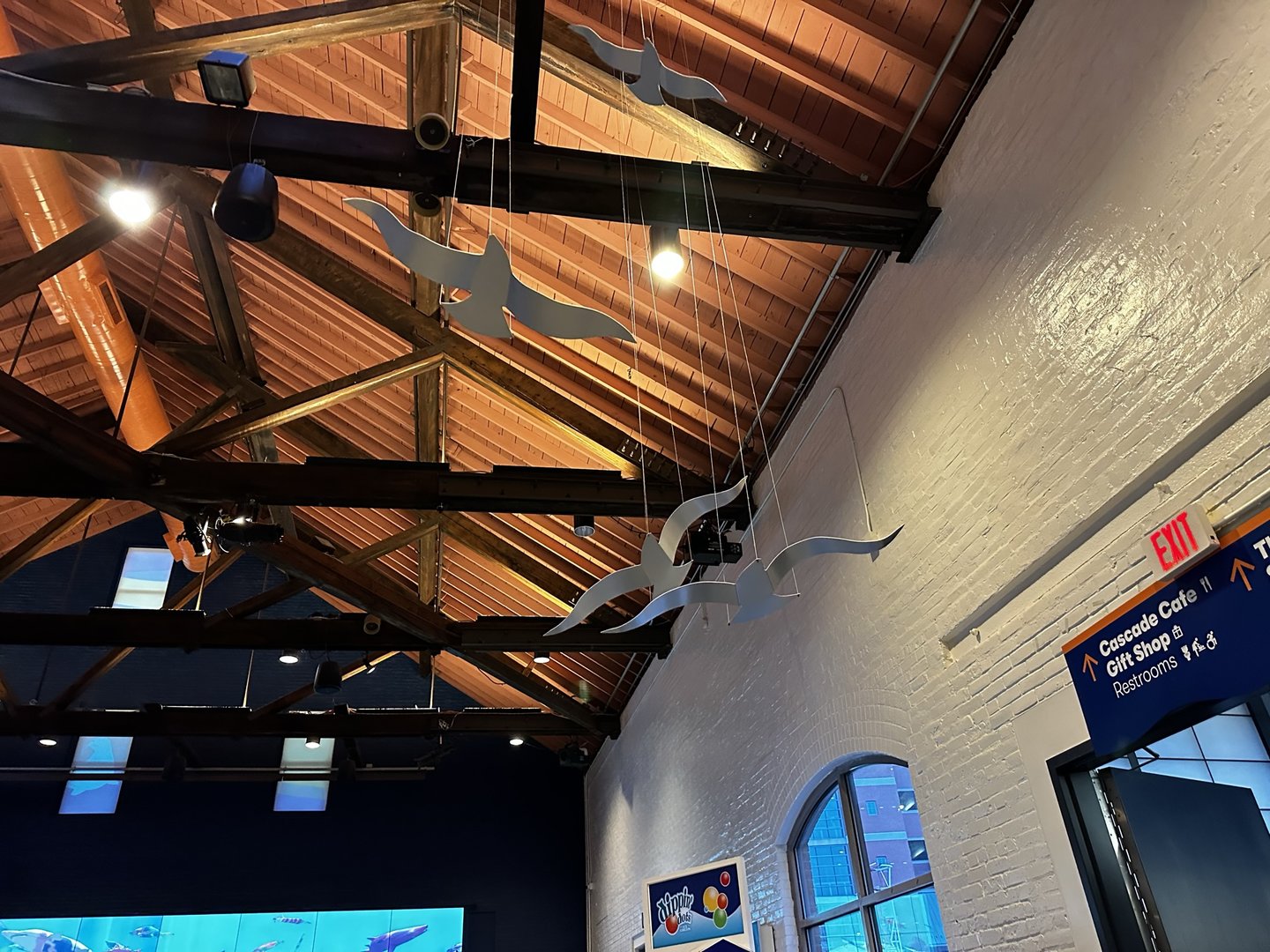 Maritime Aquarium Rafter Decorations