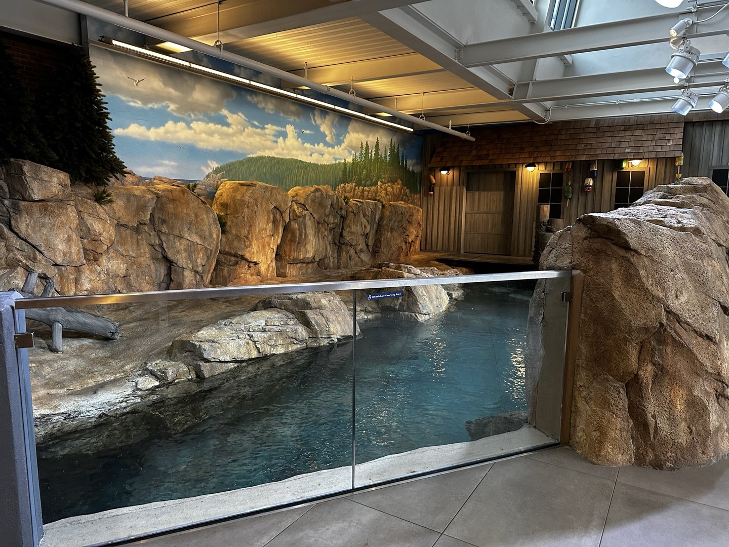 Maritime Aquarium Seal Habitat