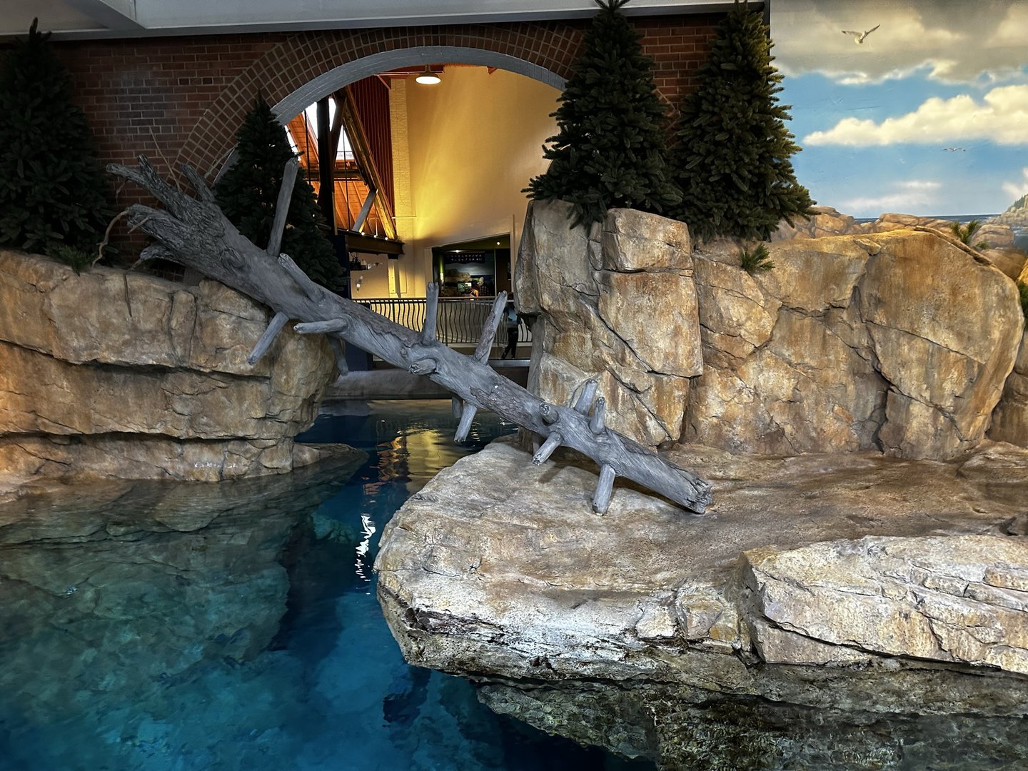 Maritime Aquarium Seal Habitat