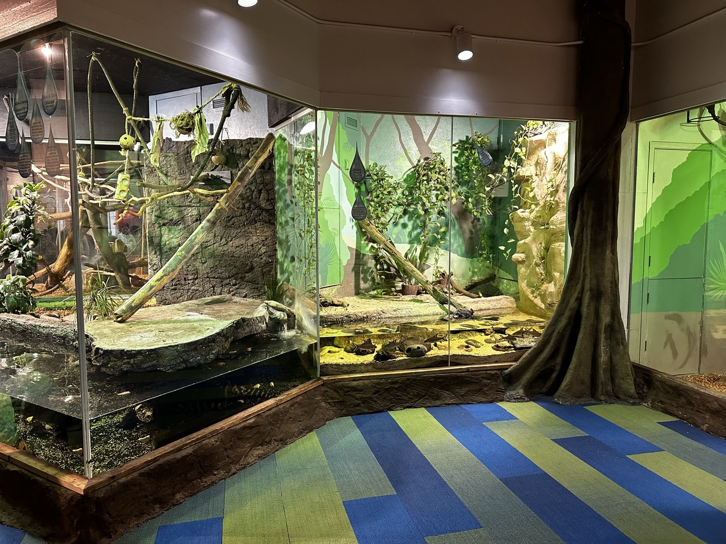 Maritime Aquarium Small Mammal Hall