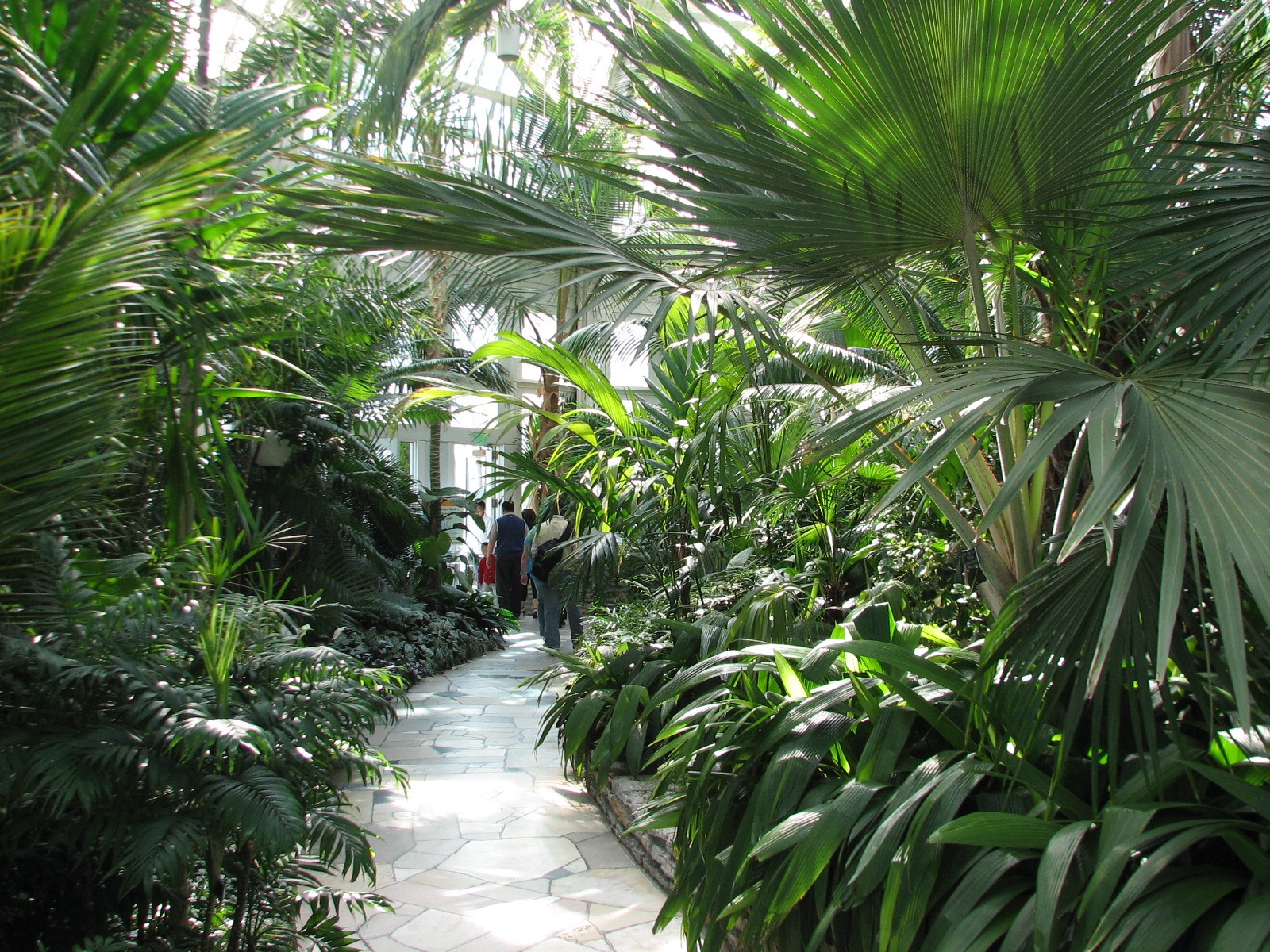 Marjorie McNeely Conservatory - Palm Dome