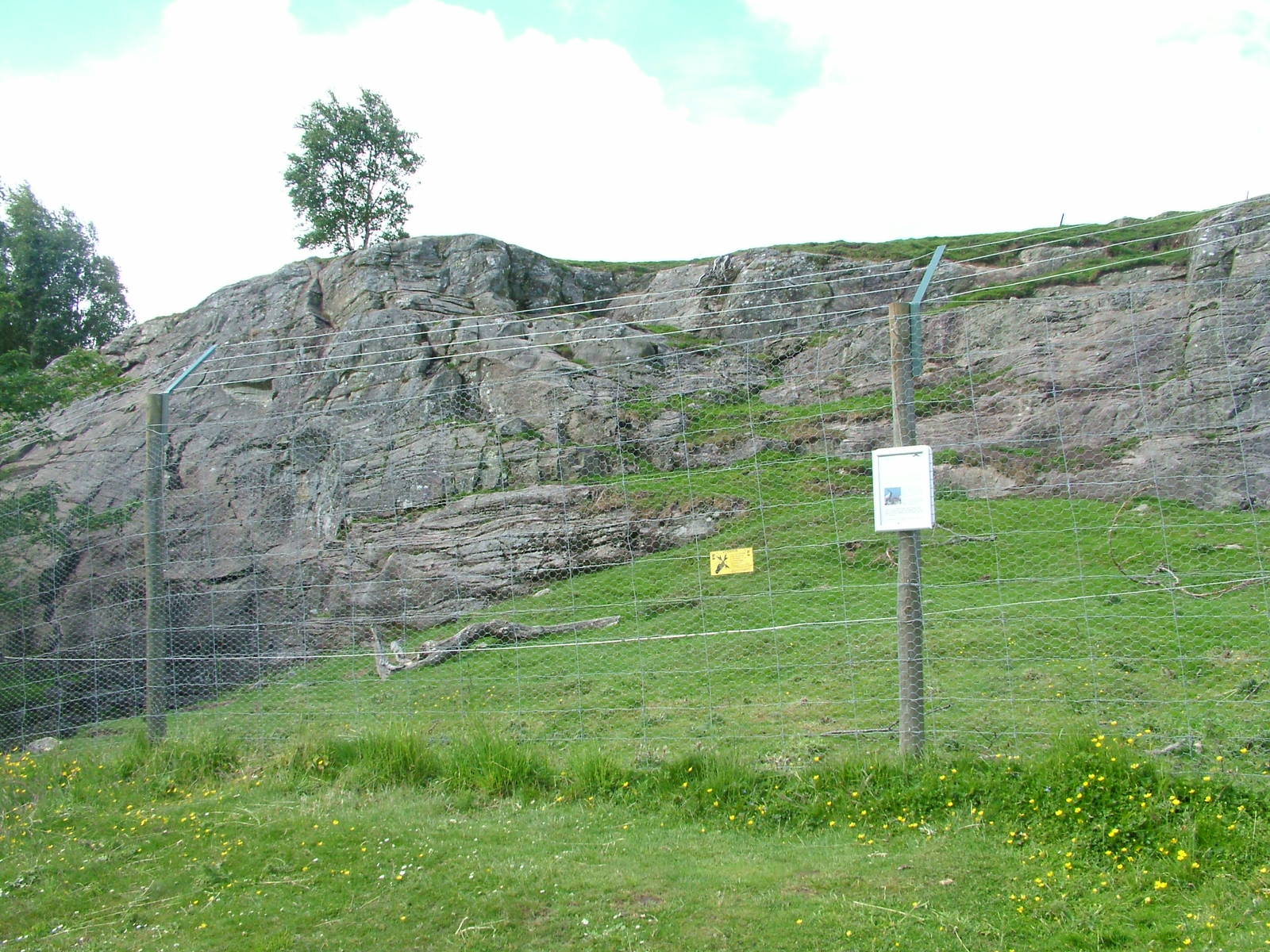Markhor and Bharal enclosure at Highland Wildlife Park 2008
