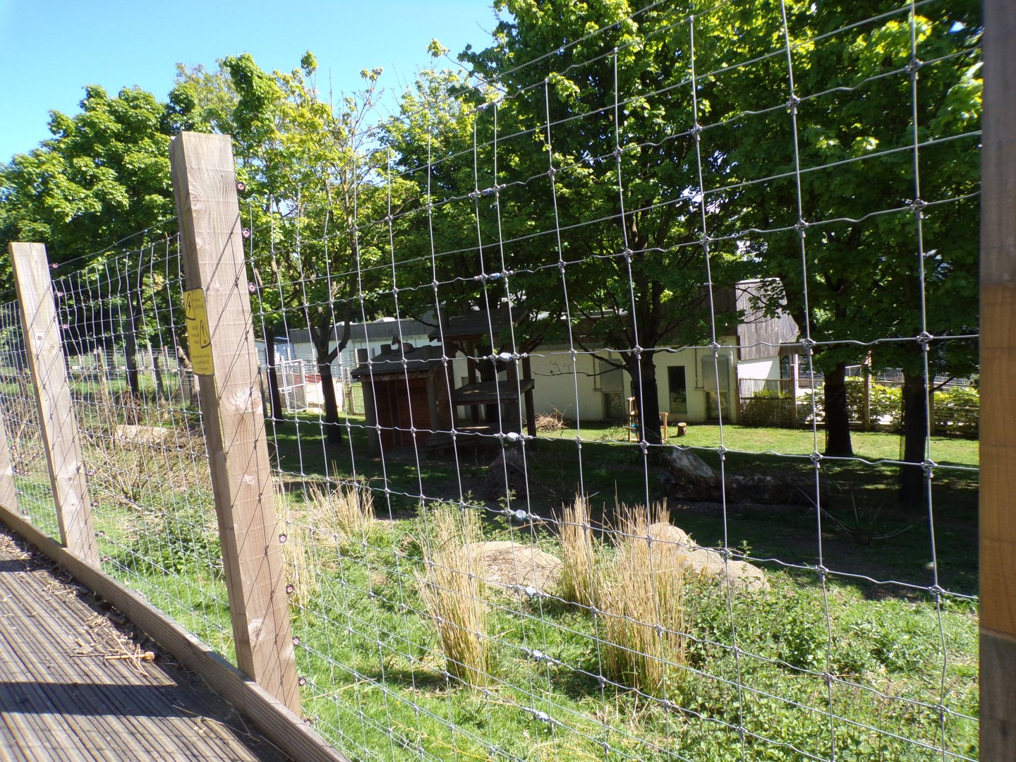 Markhor enclosure 20.5.24