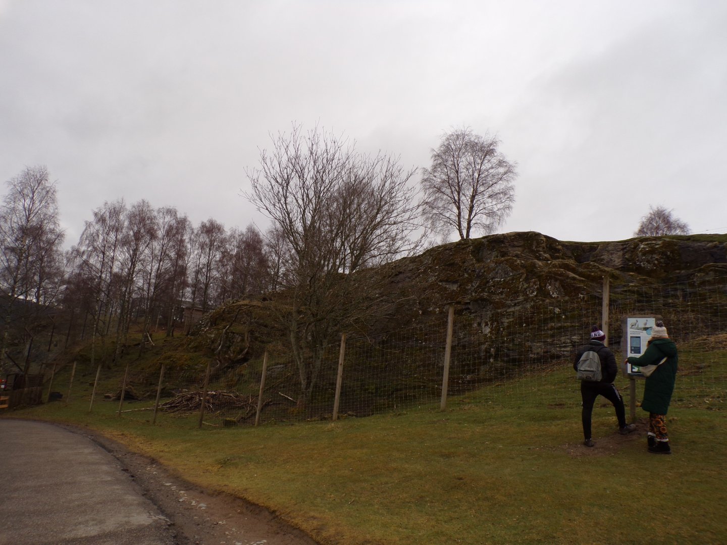 Markhor enclosure 5.4.24