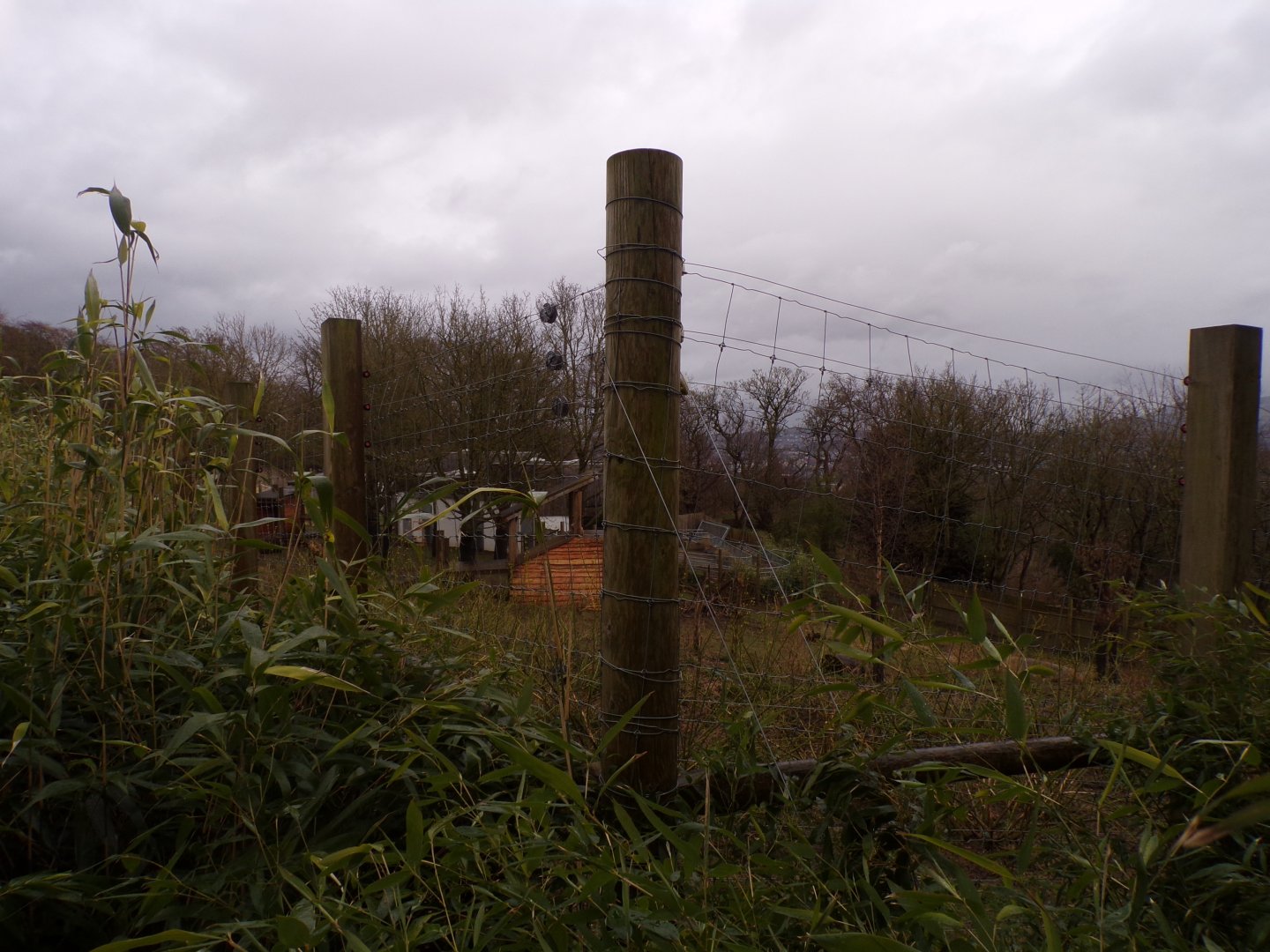 Markhor enclosure (former giant panda) 9.4.24