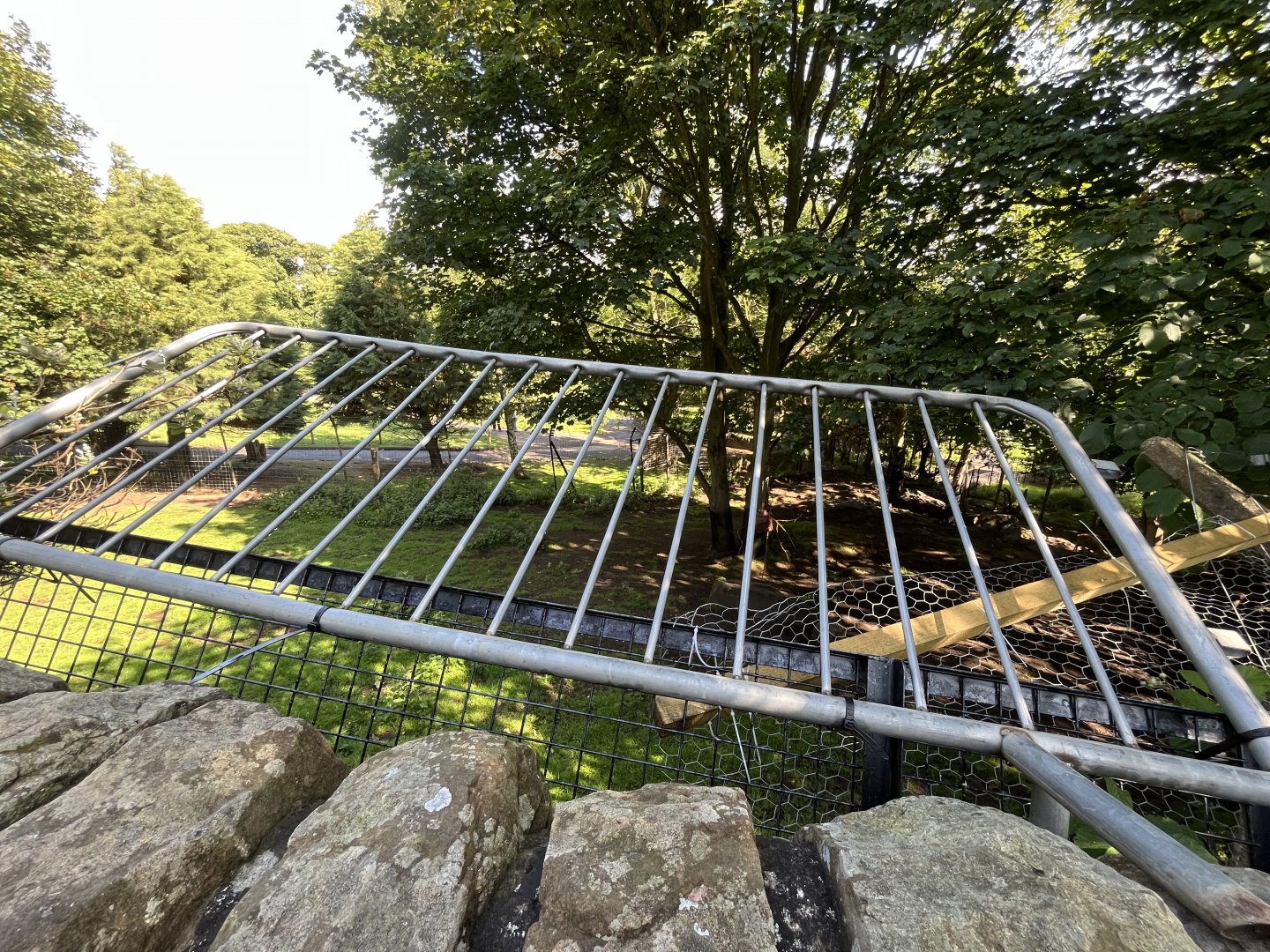 Markhor enclosure from the old cat terraces 22.6.25