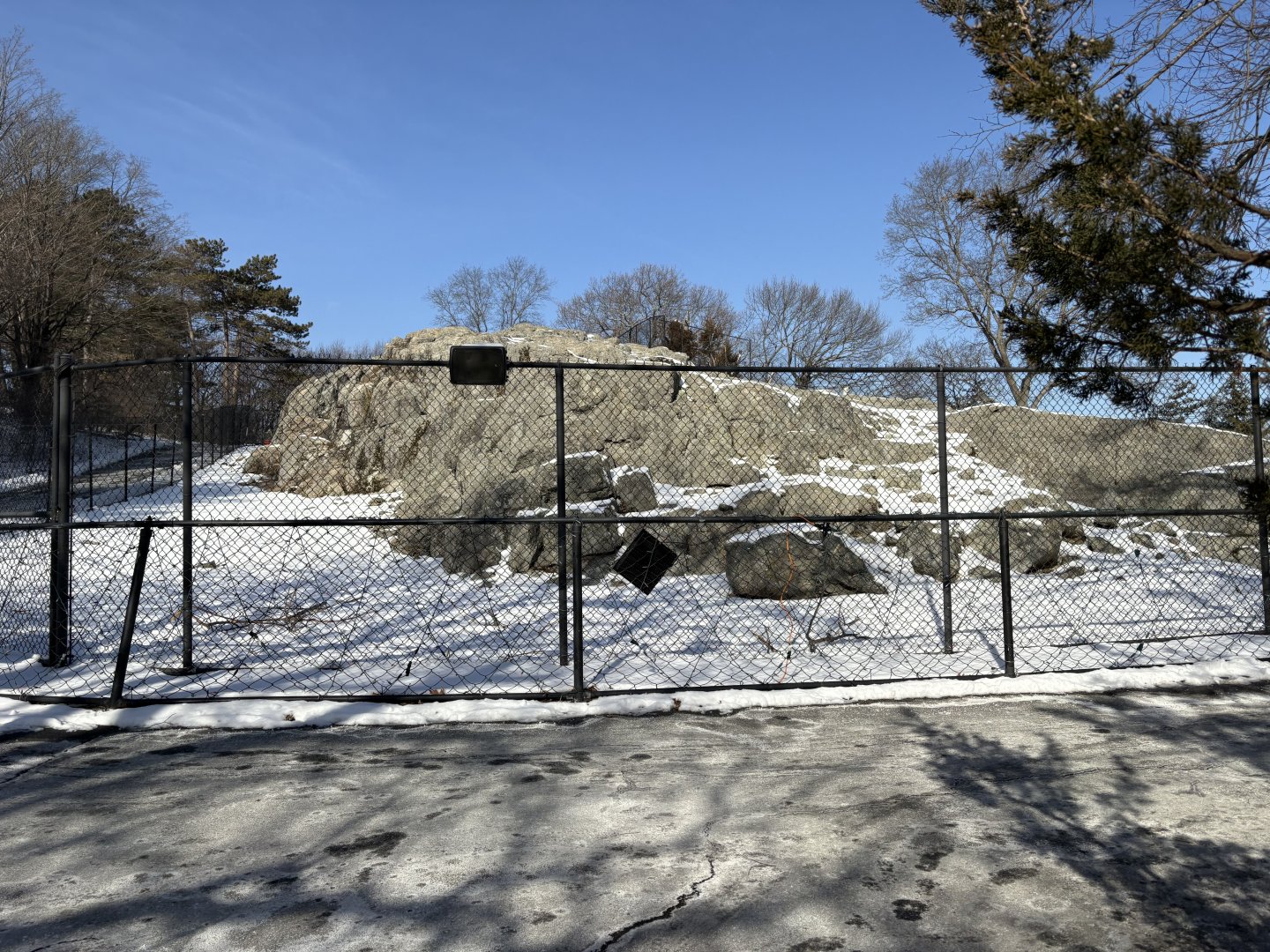 Markhor Enclosure - Jan 26, 2025