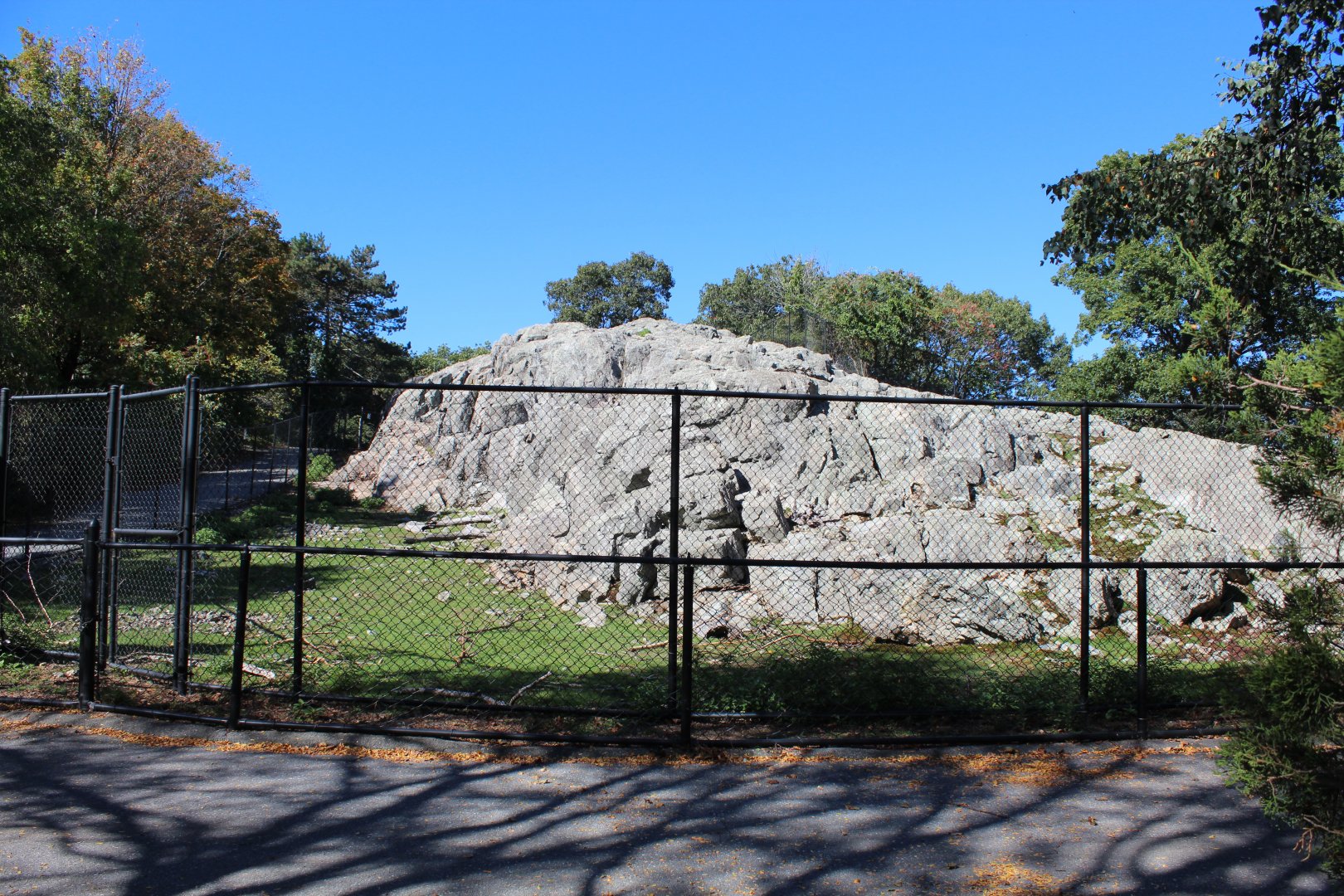 Markhor Enclosure - Oct 2017