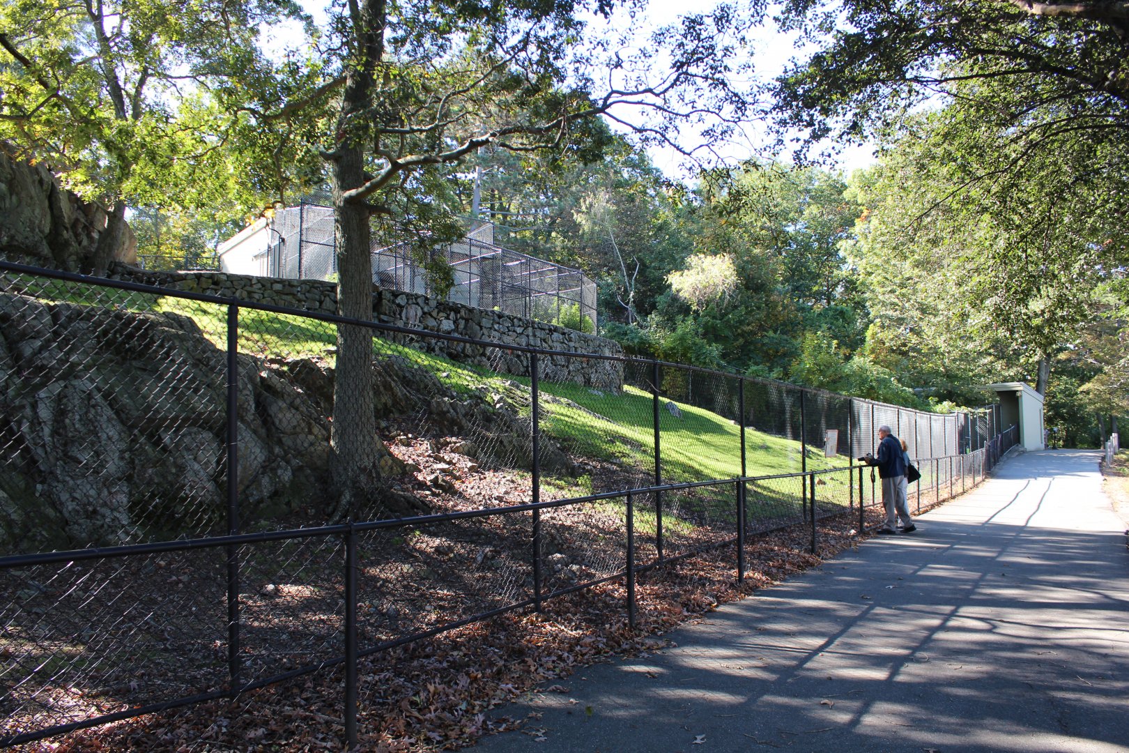Markhor Enclosure - Oct 2017