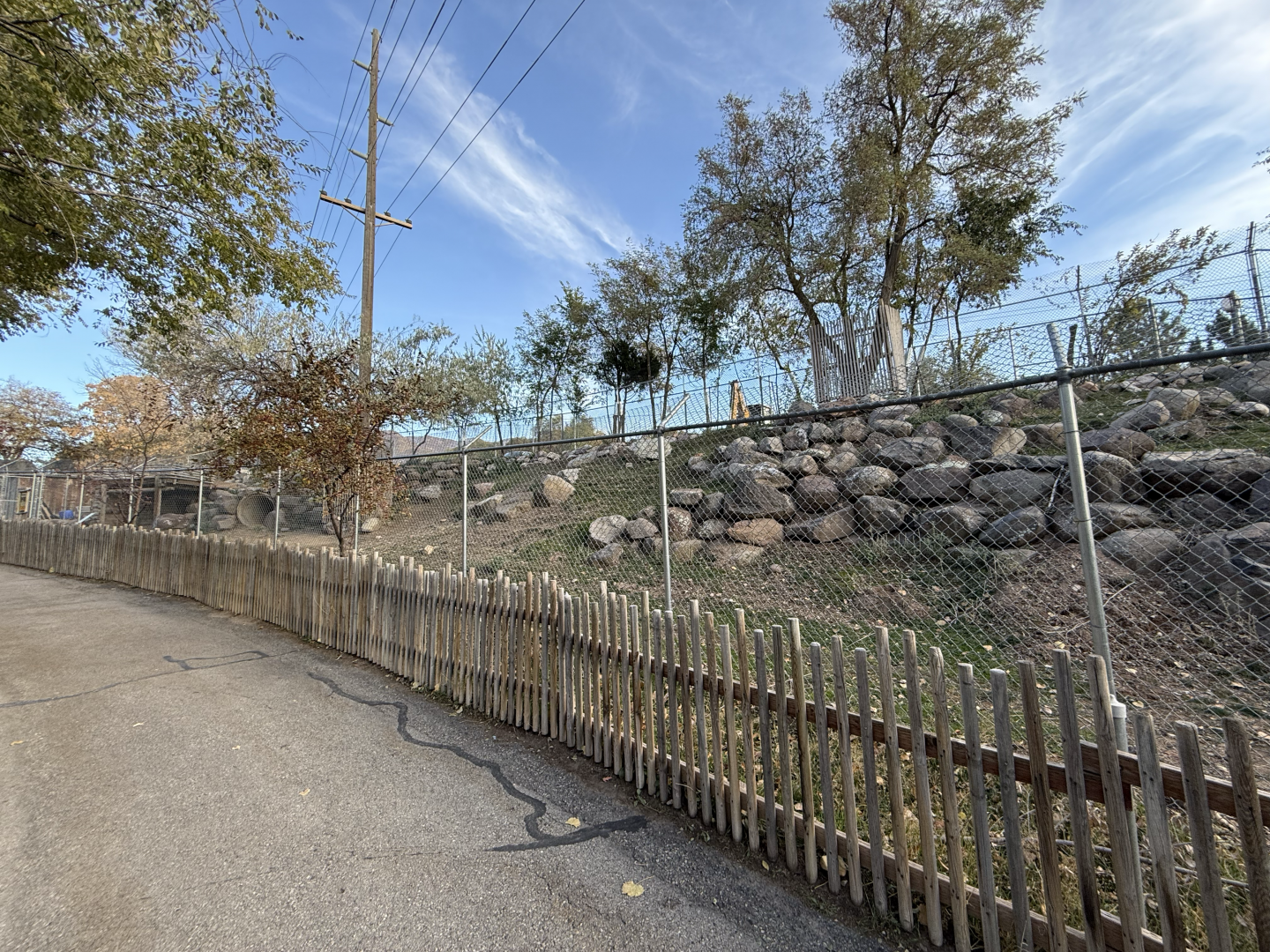 Markhor Exhibit (Right Side) - Asian Highlands