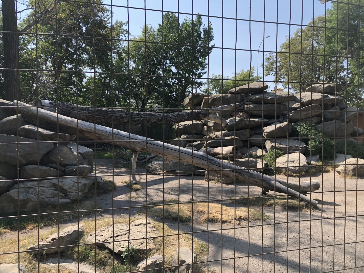 Markhor Exhibit