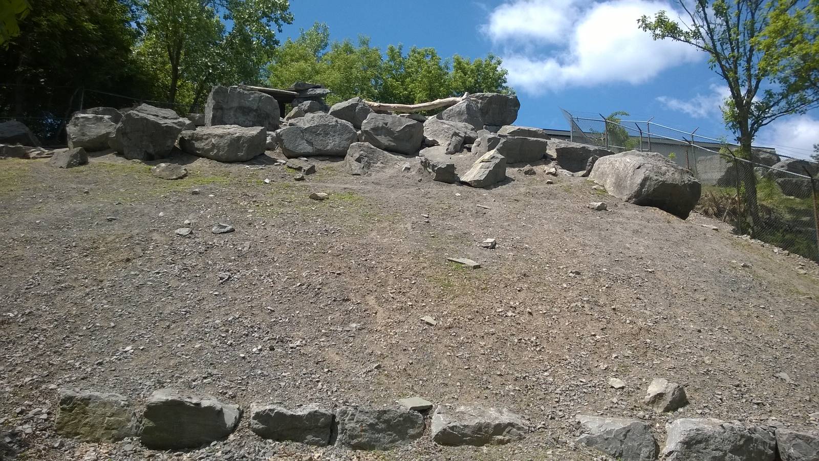 Markhor Goat Exhibit