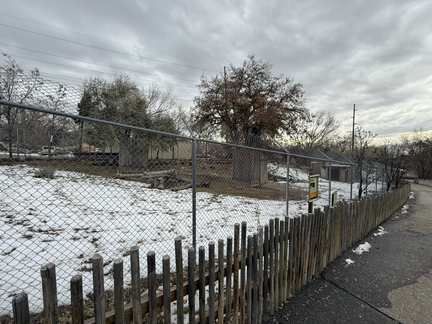 Markhor Habitat (Left Side) - Asian Highlands/South Hill