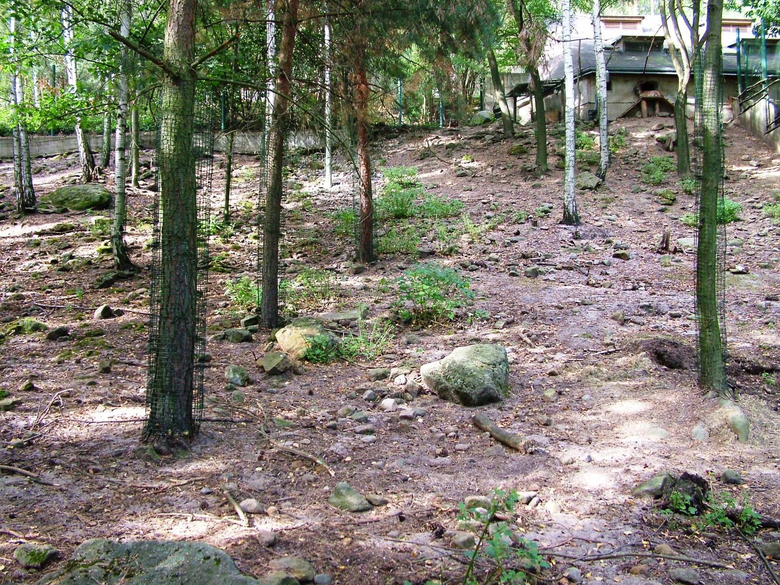 Markhor Paddock at Decin, 28/08/12