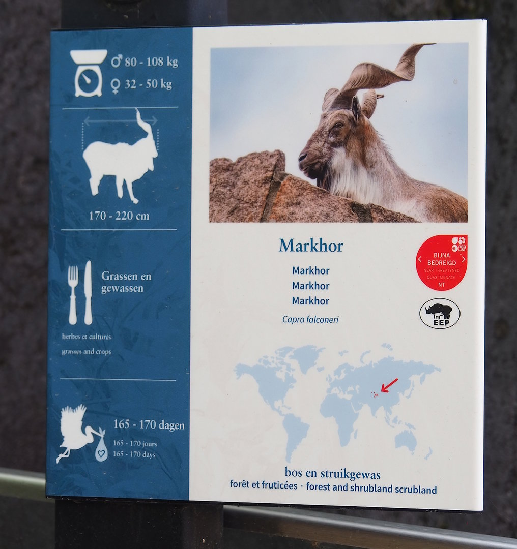 Markhor signage, 2023-07-22