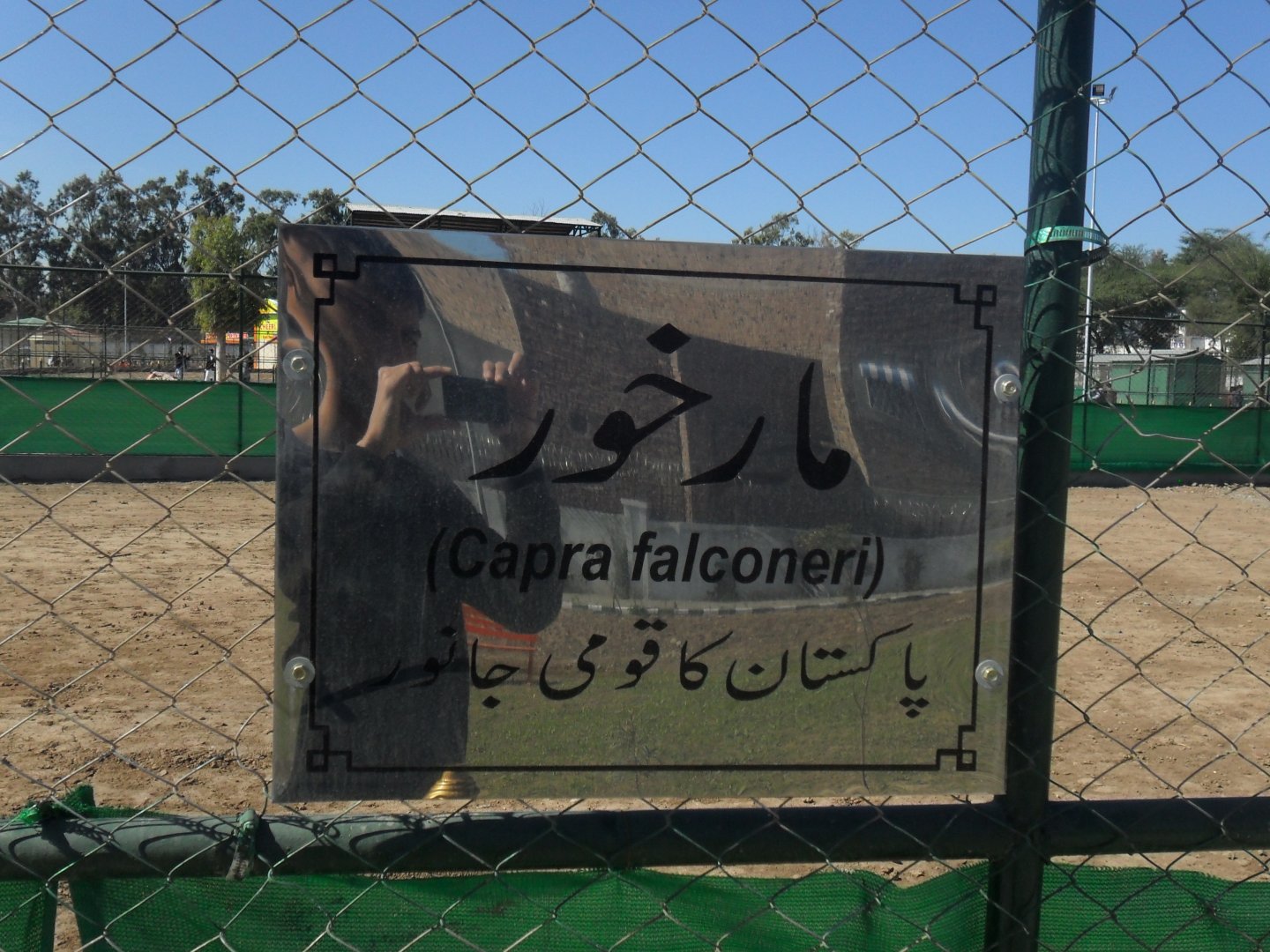 Markhor signage - Peshawar zoo 17/2/2018