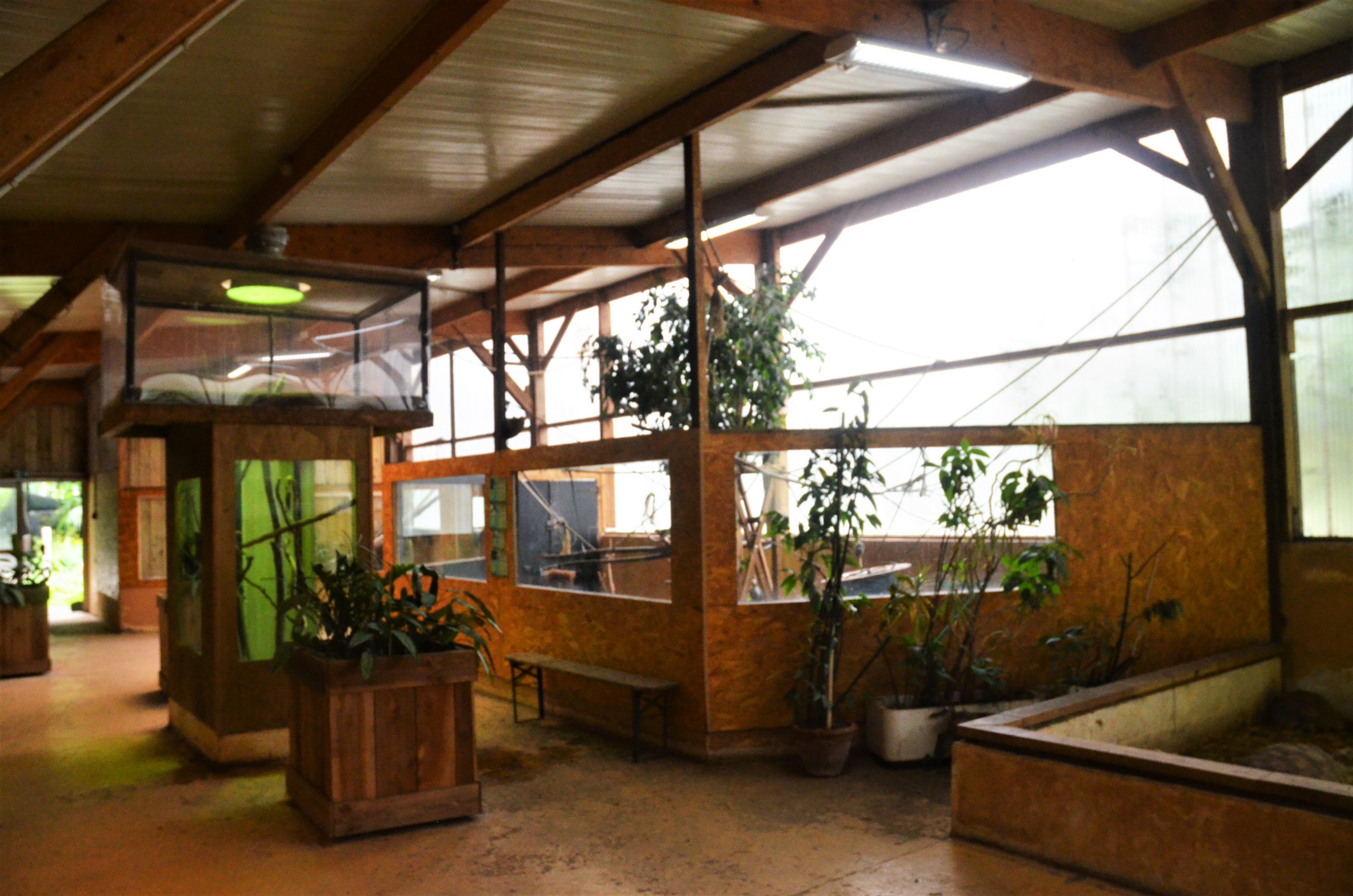 Marmoset and Reptile Enclosures in the Vivarium at Spaycific'Zoo, 13/06/18